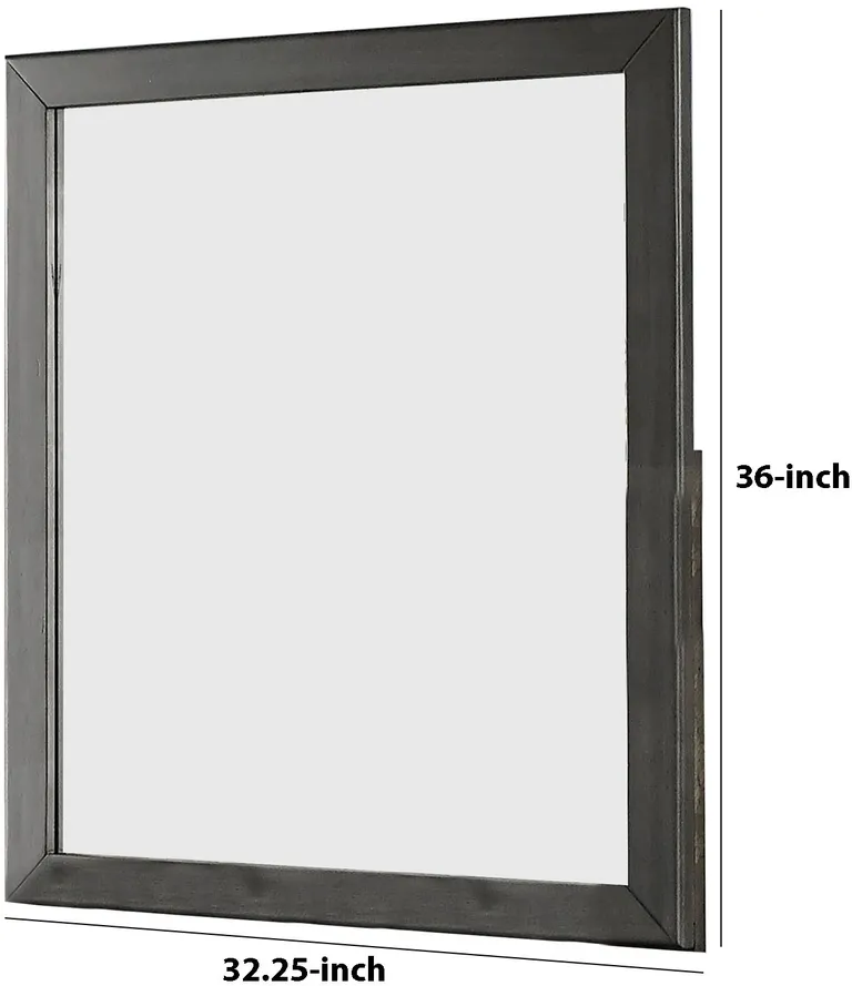 32 Inch Transitional Style Wooden Frame Mirror, Gray Photo 5