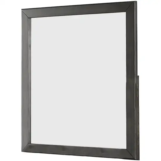 32 Inch Transitional Style Wooden Frame Mirror, Gray Photo 1