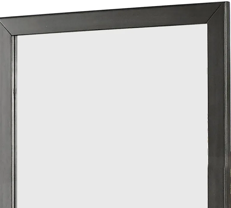 32 Inch Transitional Style Wooden Frame Mirror, Gray Photo 2
