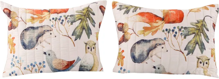 26 x 20 Inches Standard Pillow Sham with Fox and Owl Print Photo 1