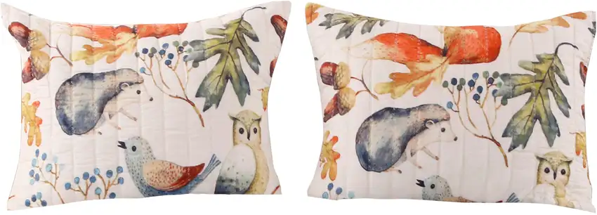 26 x 20 Inches Standard Pillow Sham with Fox and Owl Print Photo 1