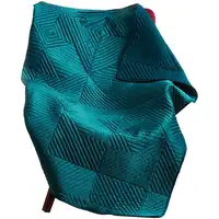 Photo of Ahab 60 x 50 Quilted Throw Blanket, Polyester Filling, Dutch Velvet
