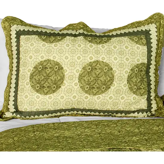 Antique Beauty -  Cotton 3PC Vermicelli-Quilted Polka Dot Patchwork Quilt Set (Full/Queen Size) Photo 2