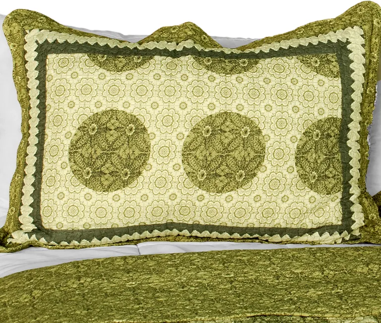 Antique Beauty - Cotton 3PC Vermicelli-Quilted Polka Dot Patchwork Quilt Set (Full/Queen Size) Photo 1