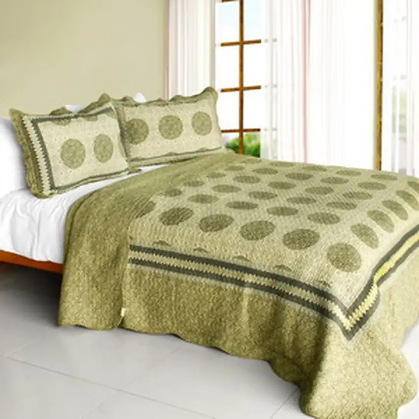 Antique Beauty -  Cotton 3PC Vermicelli-Quilted Polka Dot Patchwork Quilt Set (Full/Queen Size) Photo 1