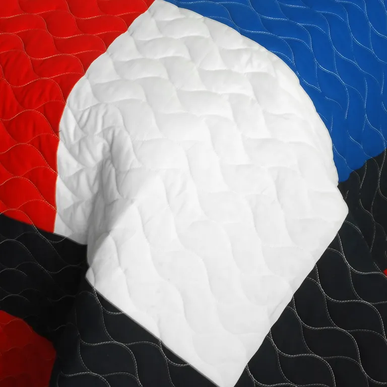 Be Myself - Vermicelli-Quilted Patchwork Geometric Quilt Set Full/Queen Photo 4