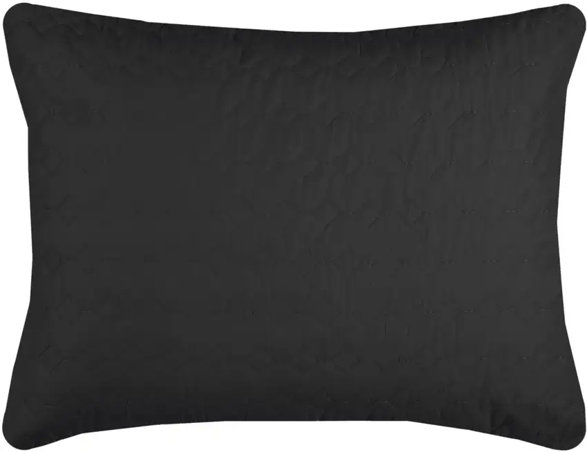 Black Queen 100% Cotton 300 Thread Count Machine Washable Down Alternative Comforter Photo 1