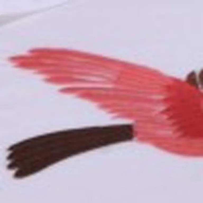 Blue King Cotton Washable Duvet Cover Set With Two Shams Photo 2