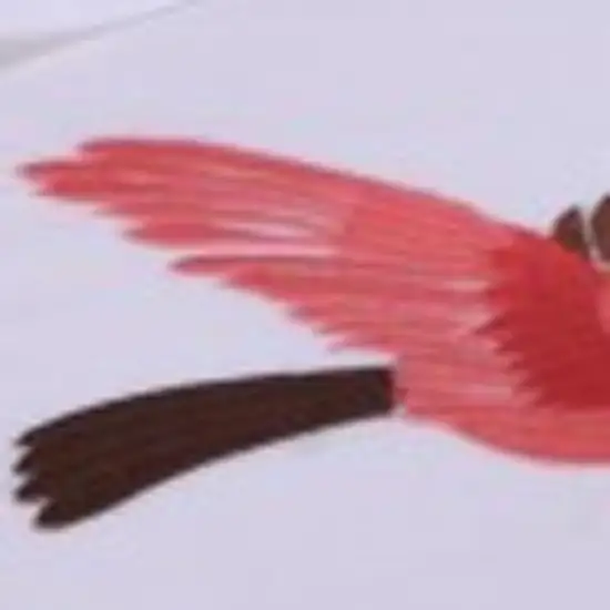 Blue King Cotton Washable Duvet Cover Set With Two Shams Photo 3