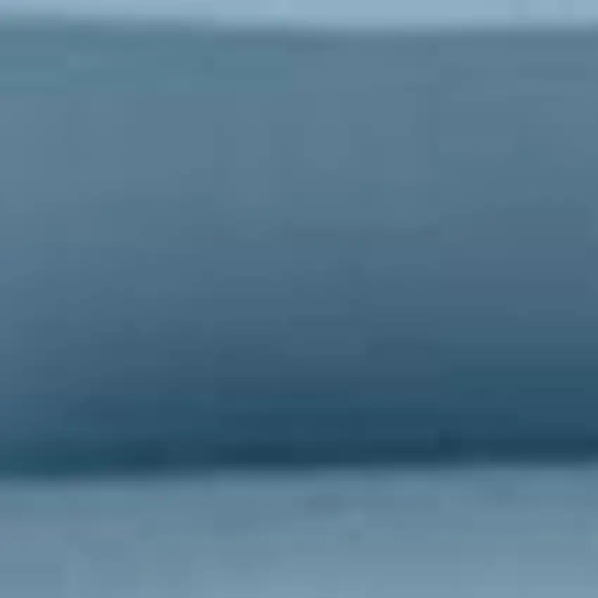 Blue Queen Cotton Blend Washable Duvet Cover Set Photo 6