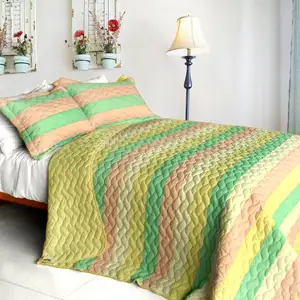 Photo of Chic Cookie - 3PC Vermicelli-Quilted Patchwork Quilt Set (Full/Queen Size)