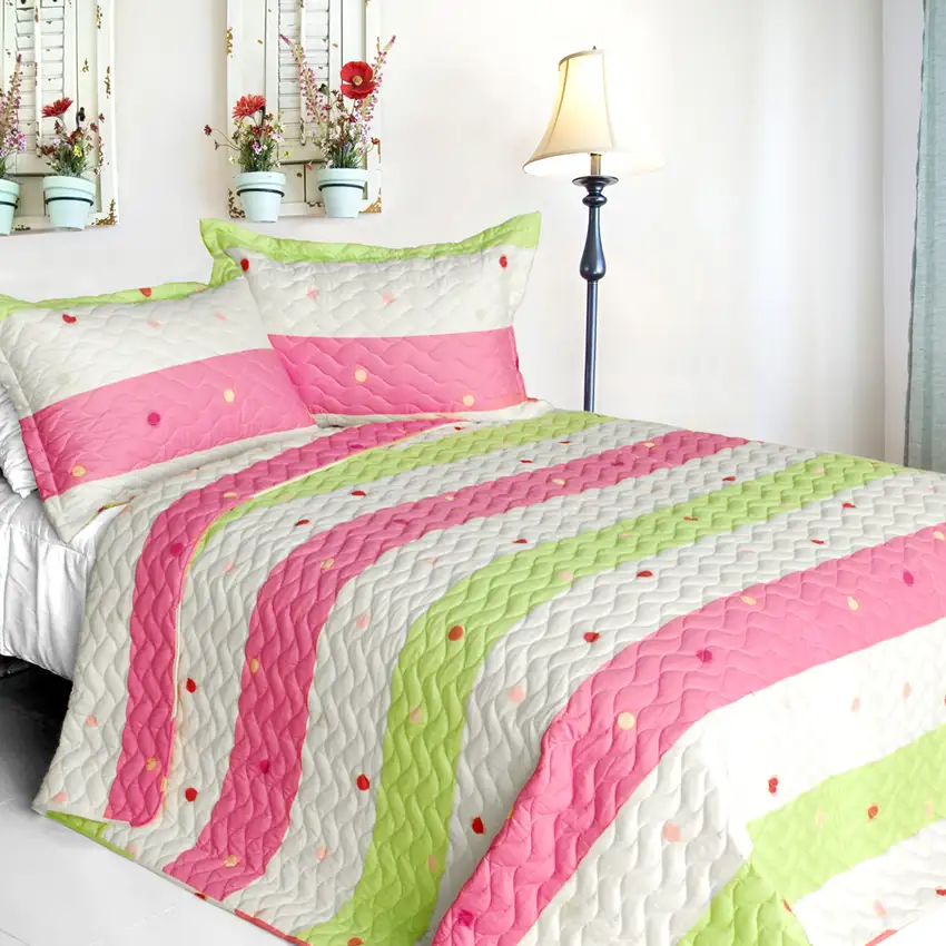 Colorful Life -  Cotton 2PC Vermicelli-Quilted Patchwork Quilt Set (Twin Size) Photo