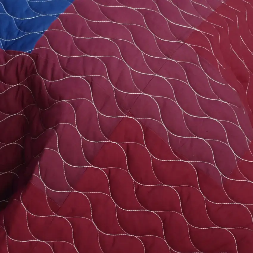 Fire & Ice -  3PC Vermicelli - Quilted Patchwork Quilt Set (Full/Queen Size) Photo 5