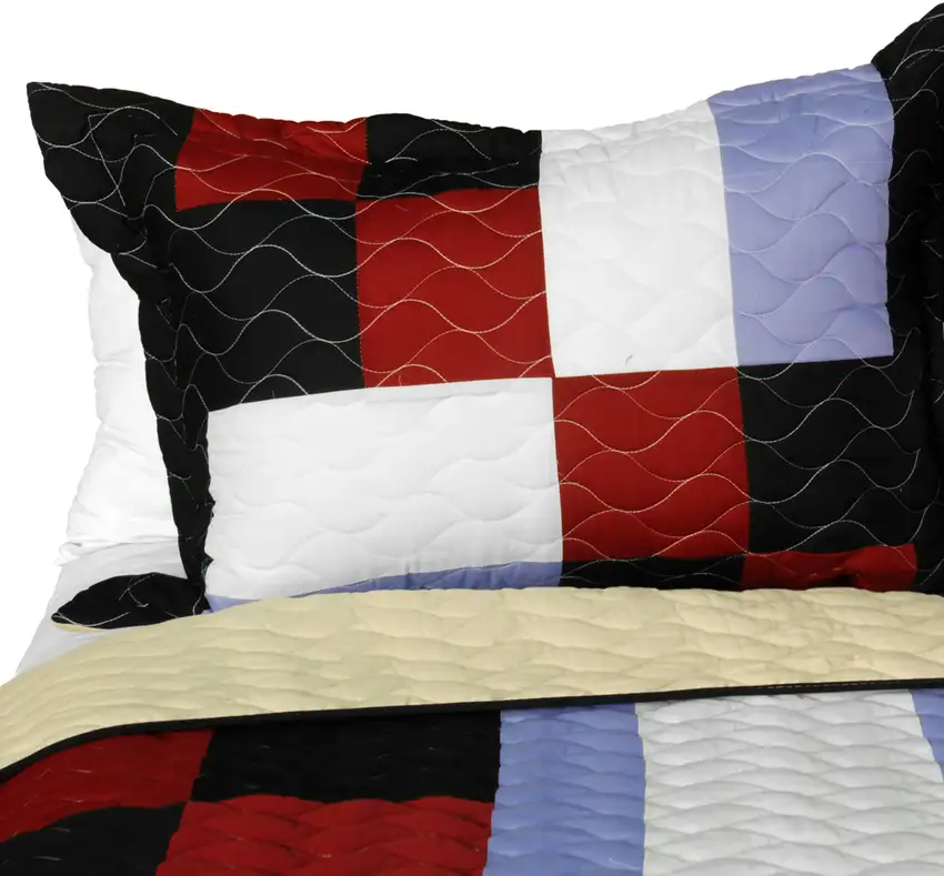 Floral City -  3PC Vermicelli-Quilted Patchwork Quilt Set (Full/Queen Size) Photo 3