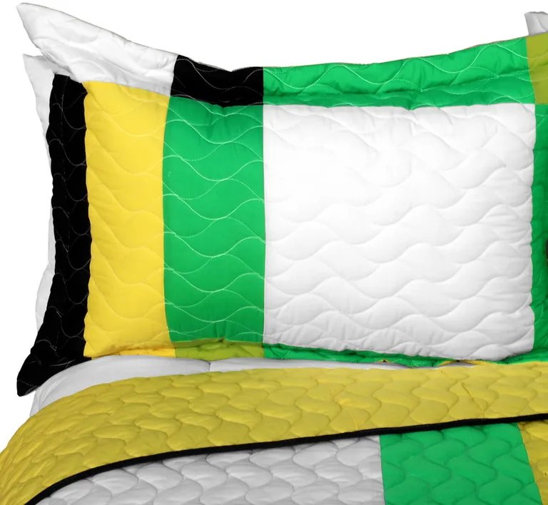 Fresh Field - 3PC Vermicelli - Quilted Patchwork Quilt Set (Full/Queen Size) Photo 2