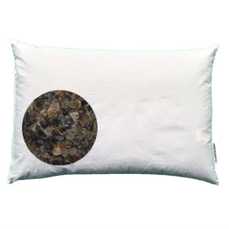 Japanese size 14 x 20 inch Organic Buckwheat Pillow Photo 1
