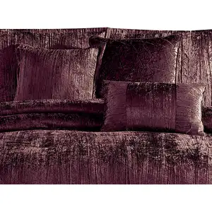 Photo of Jay 7 Piece Queen Comforter Set, Polyester Velvet, Deluxe Texture