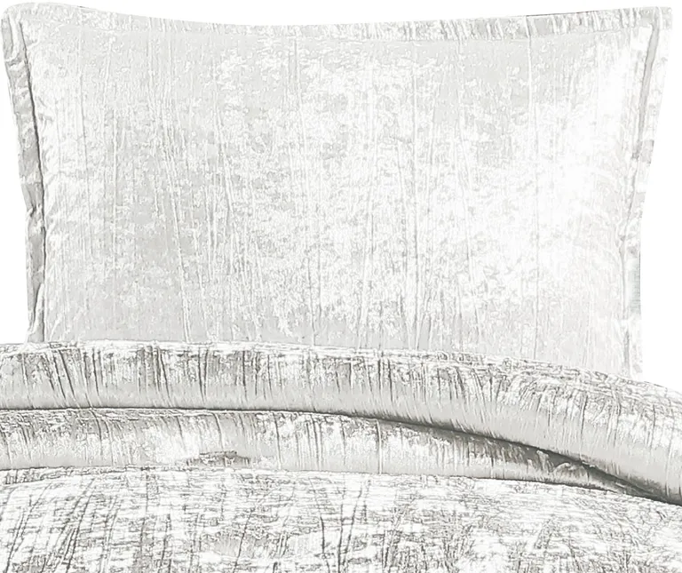 Jay 2 Piece Twin Comforter Set, Polyester Velvet Deluxe Texture Photo 2