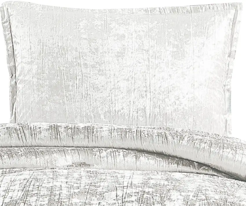 Jay 2 Piece Twin Comforter Set, Polyester Velvet Deluxe Texture Photo 2