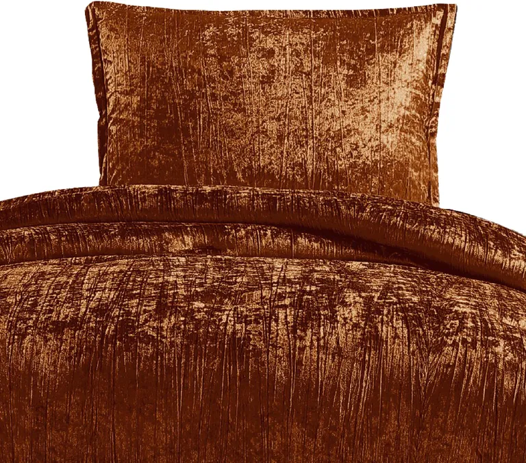 Jay 2 Piece Twin Comforter Set, Polyester Velvet Deluxe Texture Photo 2