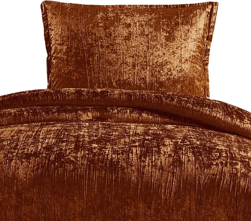 Jay 2 Piece Twin Comforter Set, Polyester Velvet Deluxe Texture Photo 2