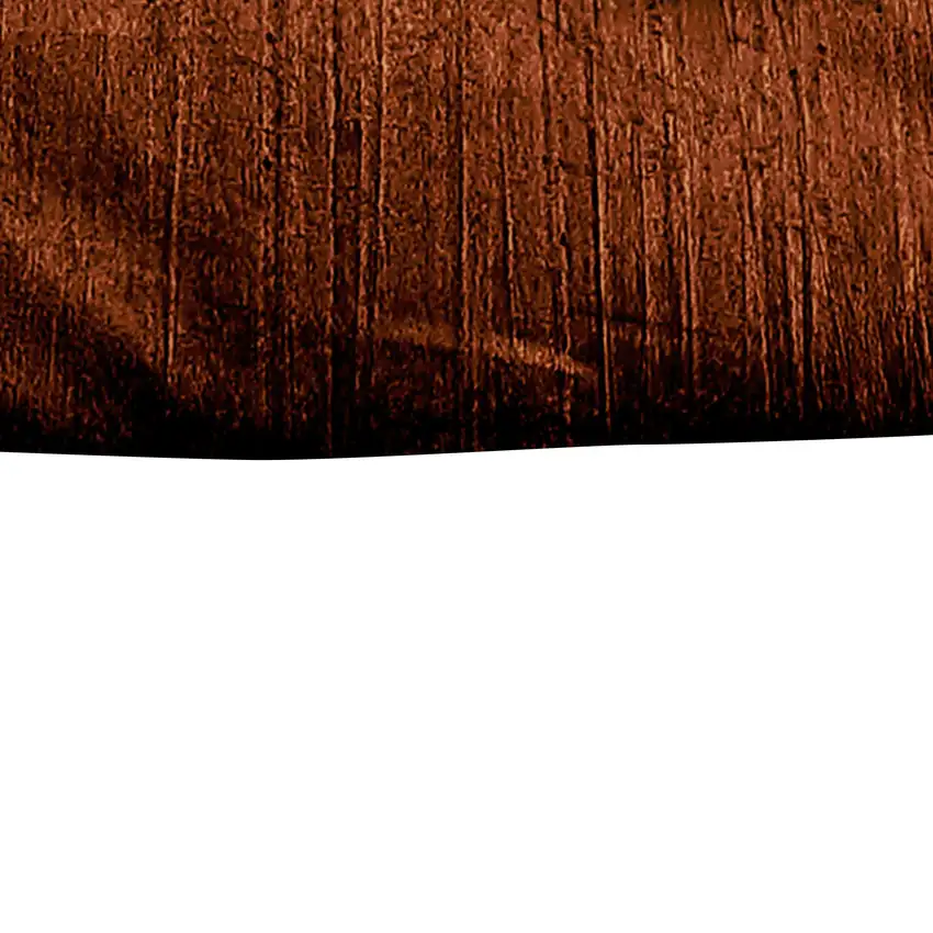Jay 2 Piece Twin Comforter Set, Polyester Velvet Deluxe Texture Photo 4