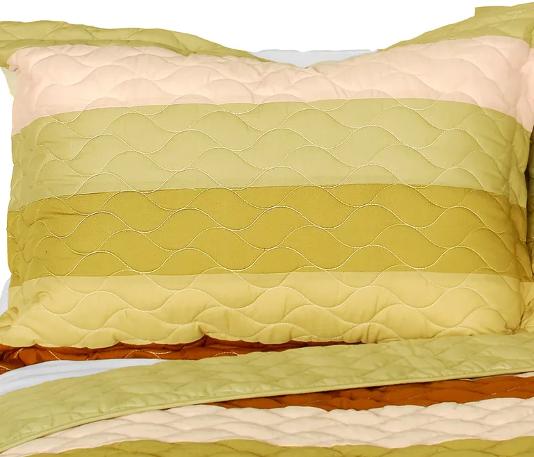 Last Winter - 3PC Vermicelli-Quilted Patchwork Quilt Set (Full/Queen Size) Photo 1