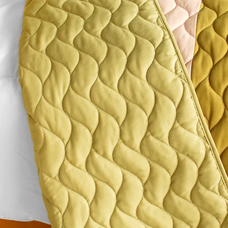 Last Winter - 3PC Vermicelli-Quilted Patchwork Quilt Set (Full/Queen Size) Photo 2