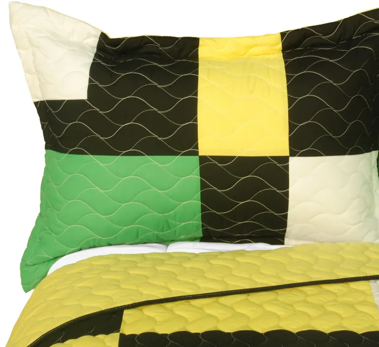 Life Force - Brand New Vermicelli-Quilted Patchwork Quilt Set Full/Queen Photo 2