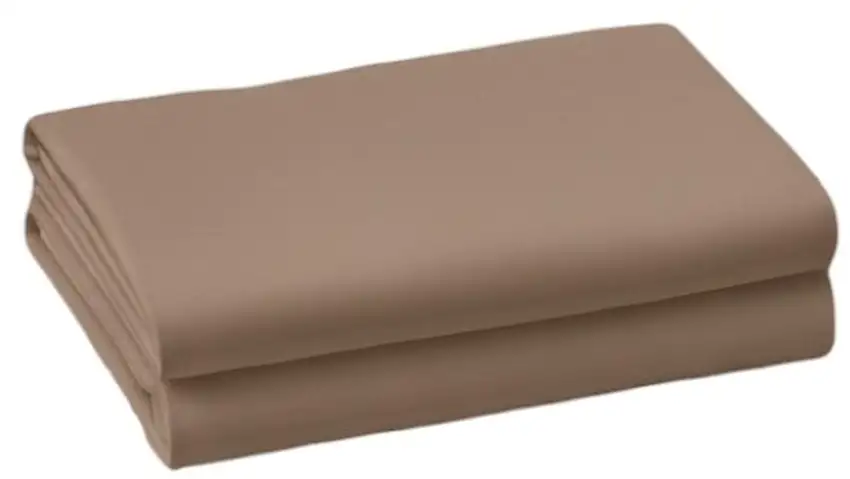 Set of Two Light Brown Cotton Queen Pillowcases Photo 2
