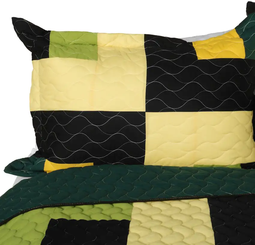 Lucky Break -  3PC Vermicelli-Quilted Patchwork Quilt Set (Full/Queen Size) Photo 3