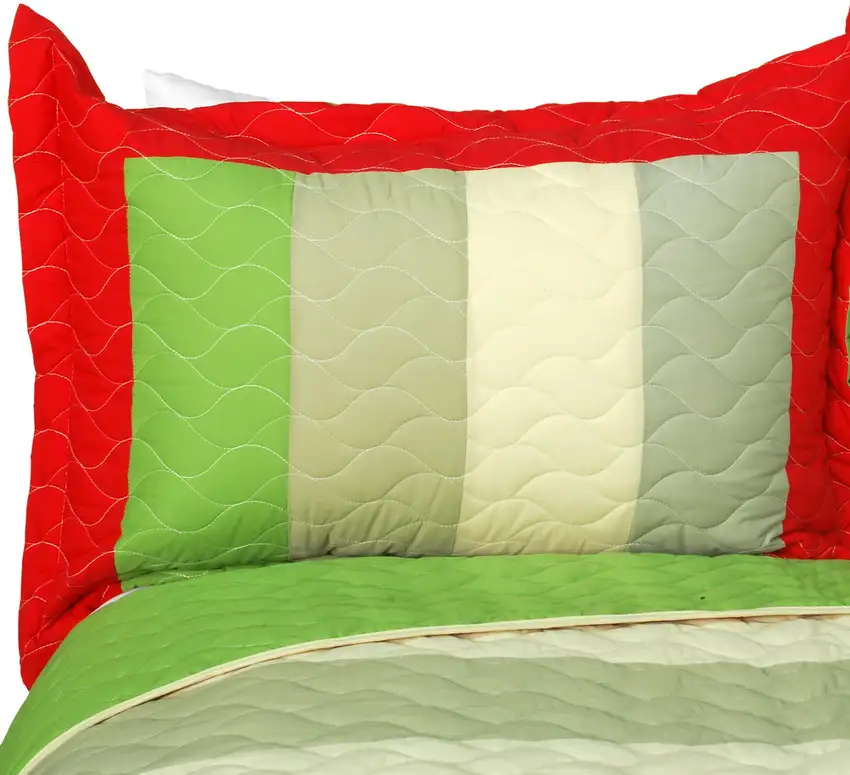 My Backyard -  Vermicelli-Quilted Patchwork Geometric Quilt Set Full/Queen Photo 2
