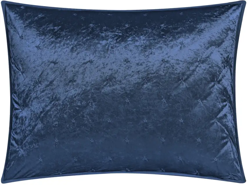 Navy Blue Twin Polyester 220 Thread Count Washable Down Comforter Set Photo 1