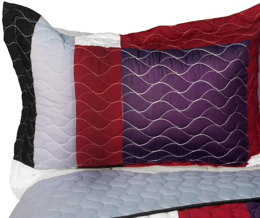 Pretty Raisin -  3PC Vermicelli - Quilted Patchwork Quilt Set (Full/Queen Size) Photo 3