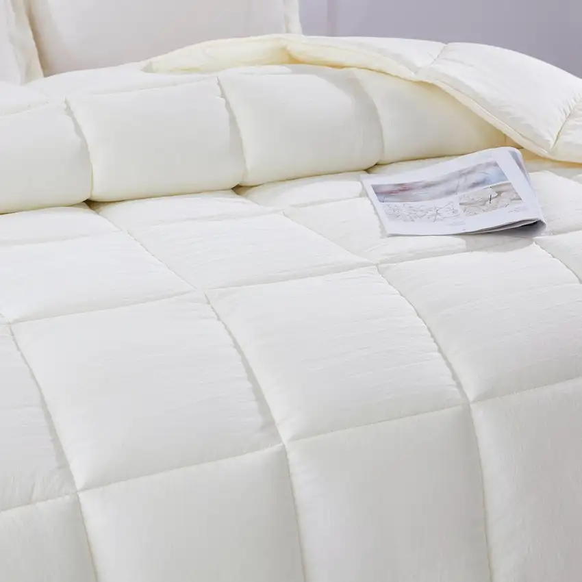 Queen Size Off White 3 Piece Microfiber Reversible Comforter Set Photo 2