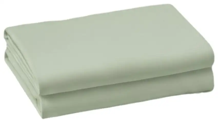 Set of Two Sage Cotton Queen Pillowcases Photo 3