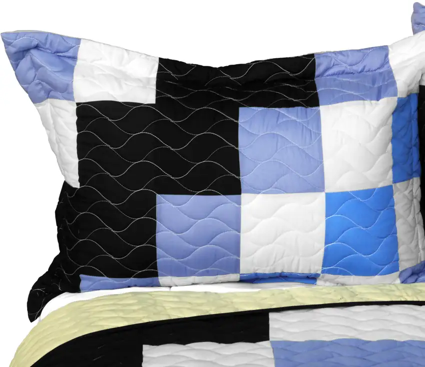 Same Memory -  3PC Vermicelli - Quilted Patchwork Quilt Set (Full/Queen Size) Photo 3