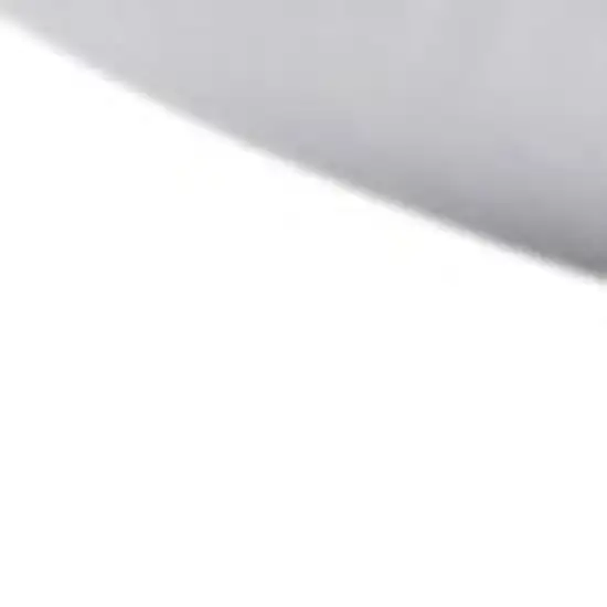 Set of Two Down Alternative Firm Queen Size Bed Pillows Photo 8