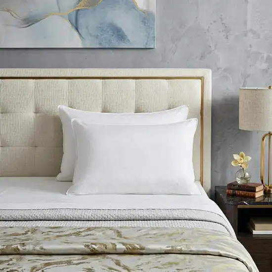 Set of Two Down Alternative Firm Queen Size Bed Pillows Photo 1