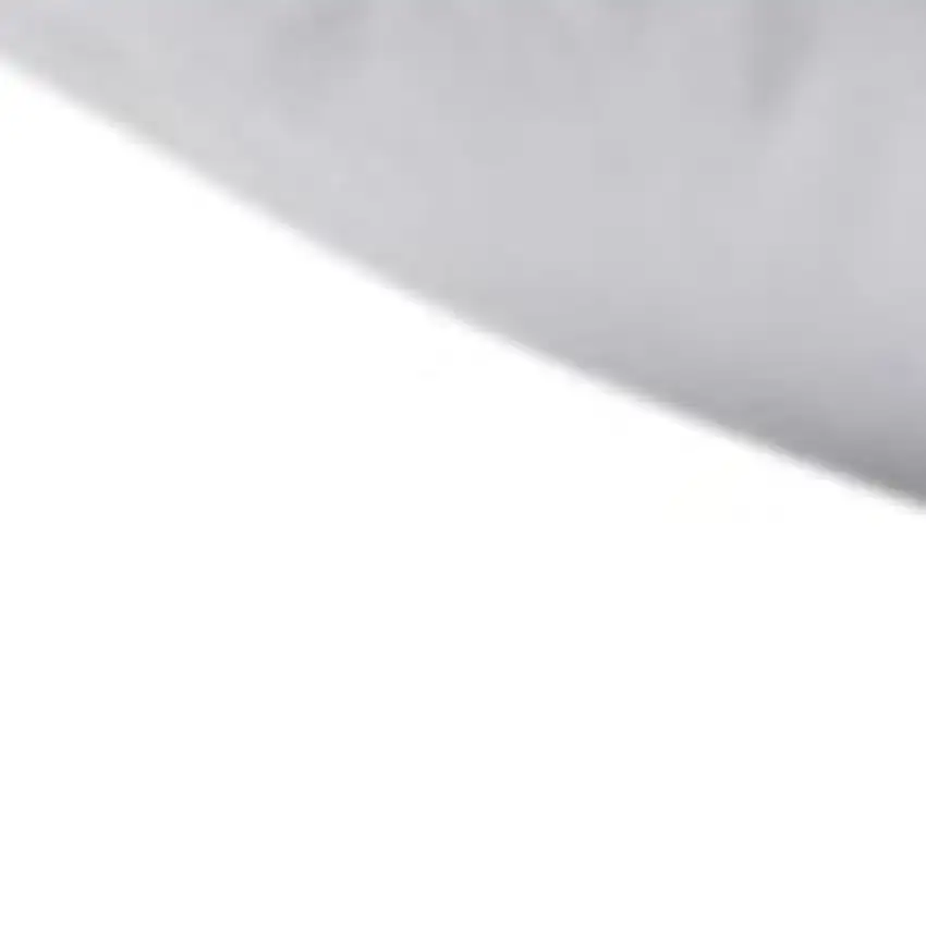 Set of Two Down Alternative Firm King Size Bed Pillows Photo 4