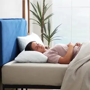 Photo of Set of 2 - Shredded Memory Foam Bed Pillows with 2 Pillowcases - Standard size