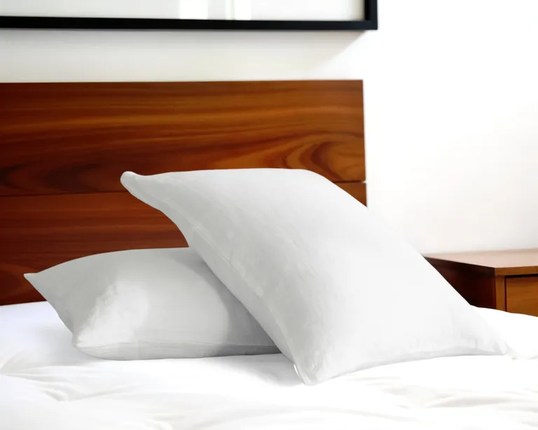 Set of Two Linen Pillowcases Photo 1
