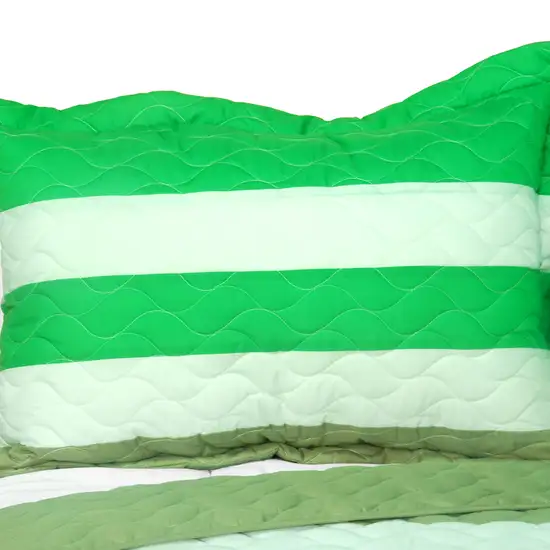 Spring Breeze -  3PC Vermicelli-Quilted Patchwork Quilt Set (Full/Queen Size) Photo 2