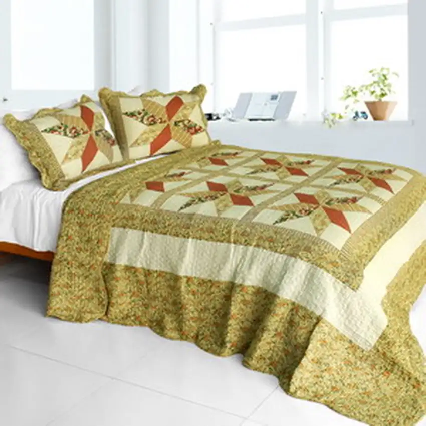 Star in My Heart -  Cotton 3PC Vermicelli-Quilted Patchwork Quilt Set (Full/Queen Size) Photo 2