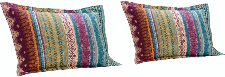 Tribal Motif Print Cotton Twin Quilt Set with 1 Pillow Sham Photo 2