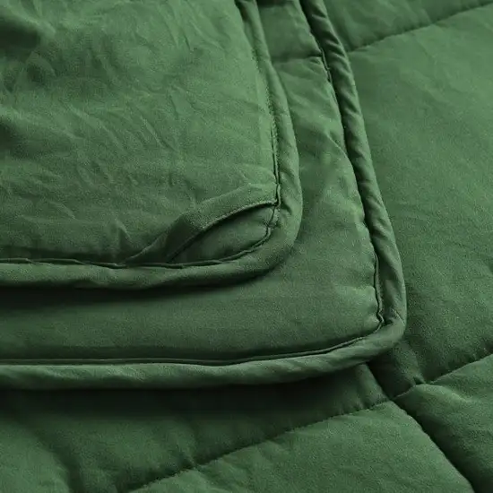 Twin Size Green 3 Piece Microfiber Reversible Comforter Set Photo 4