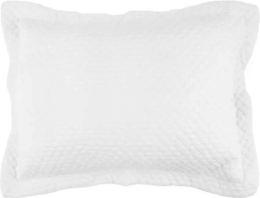 White Queen 100% Cotton 300 Thread Count Machine Washable Down Alternative Comforter Photo 1