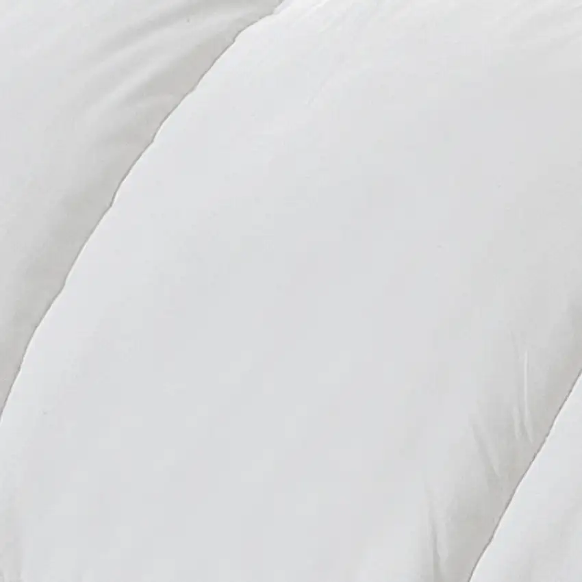 White Twin Fabric Spot Clean Goose Down Down Comforter Photo 2