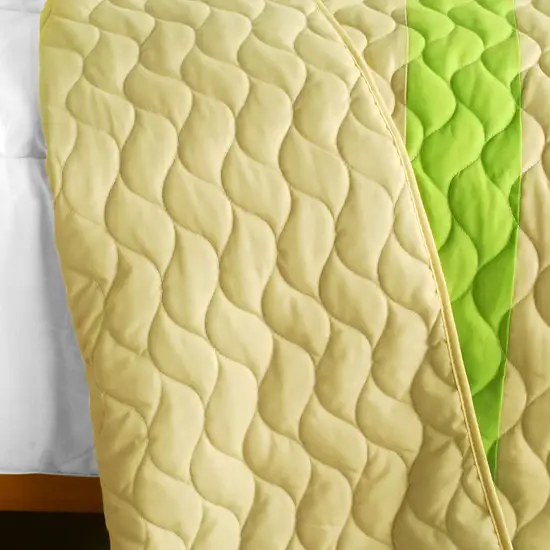 Wild Territory Shanti -  3PC Vermicelli-Quilted Patchwork Quilt Set (Full/Queen Size) Photo 3