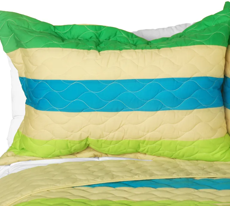 Wild Territory Shanti - 3PC Vermicelli-Quilted Patchwork Quilt Set (Full/Queen Size) Photo 2